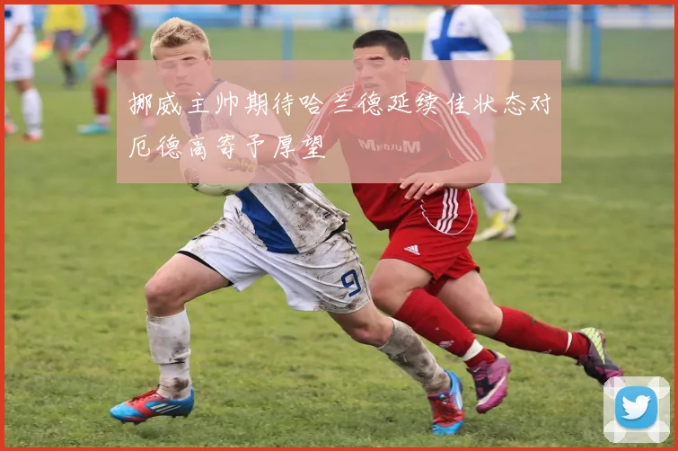 挪威主帅期待哈兰德延续佳状态对厄德高寄予厚望