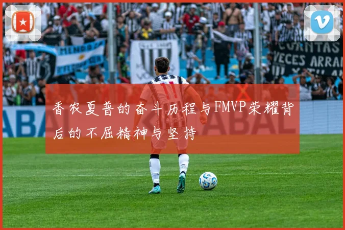 香农夏普的奋斗历程与FMVP荣耀背后的不屈精神与坚持